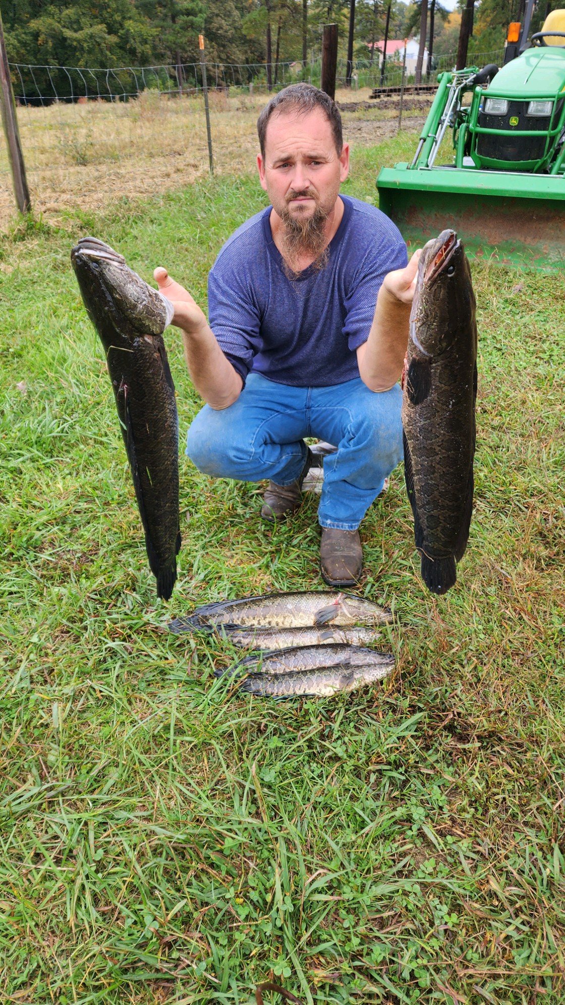 Bowfishing action